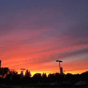 Meet your Posher, Lucy